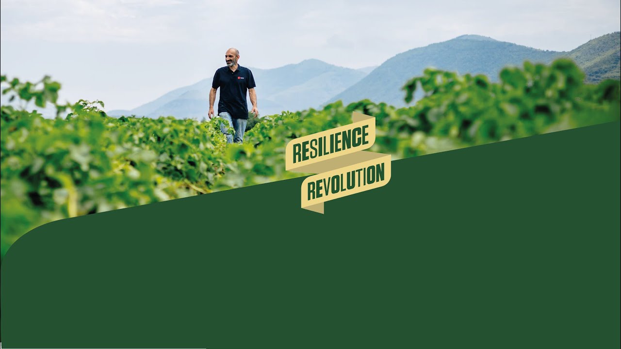 HZPC Resilience Revolution