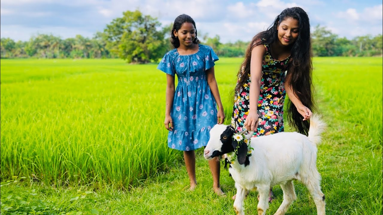 Where Life Feels Calm – Village Beauty