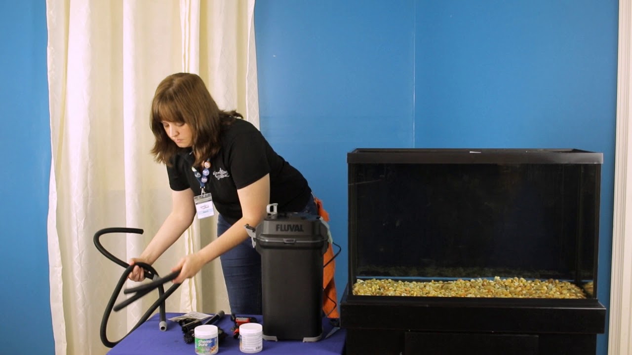 How to Setup a Fluval Canister Filter: That Fish Place - That Pet Place