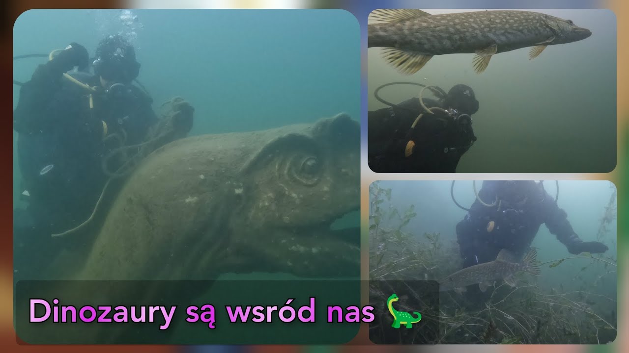 Ujeżdżam dinozaury i podziwiam piękne rybki - Jezioro Płotki #santistypendium #materiałsponsorowany