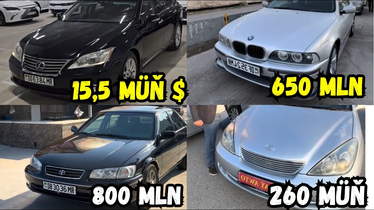 Lexus ES 350 Lexus ES 330 BMW Koreyka Baboçka