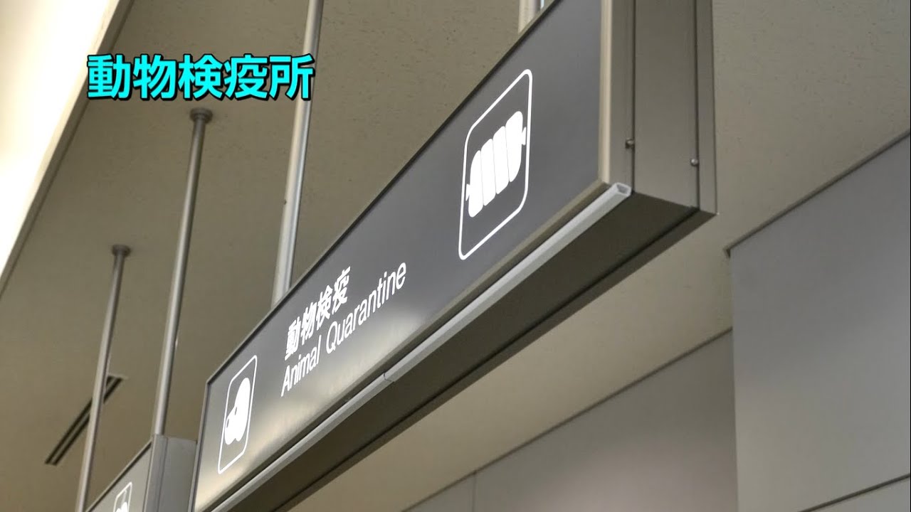 動物検疫所