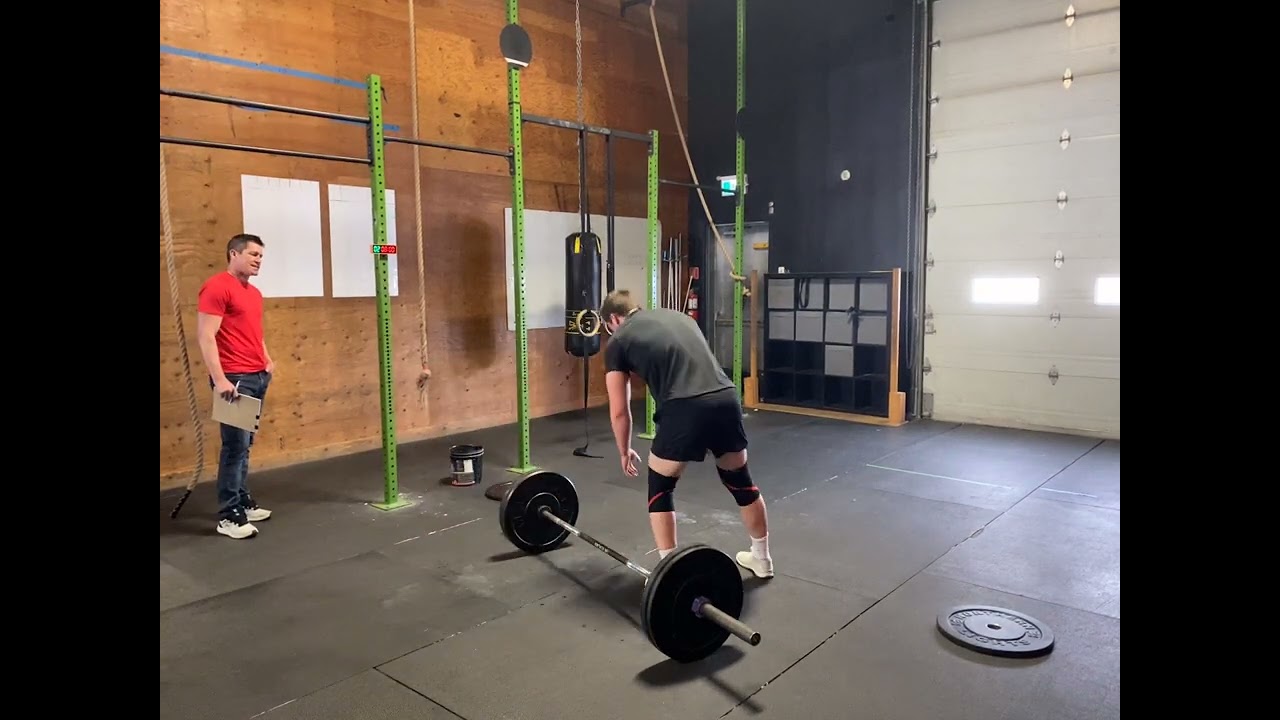 26.1