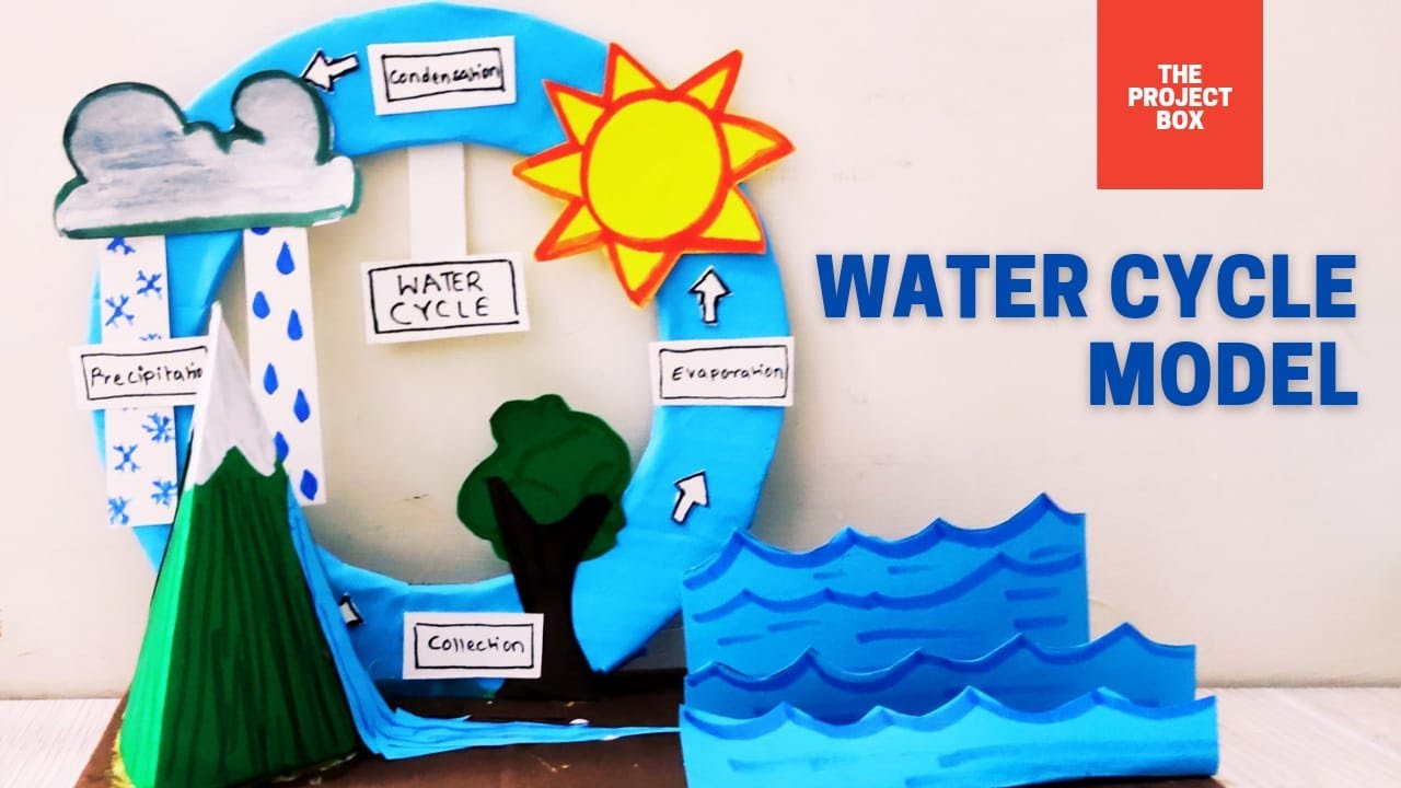 water cycle model ll science water cycle project ll school activity for kids ll Evs project