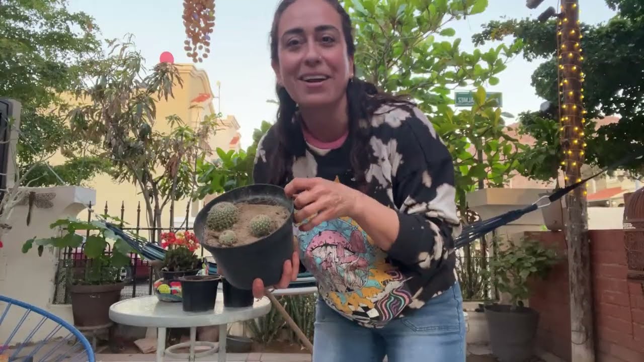 Me siento quién sabe cómo, y me puse a transplantar, a tocar tierra y plantas
