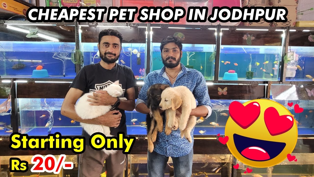 Cheapest Pet Shop || Pet Starting Only Rs 20/-