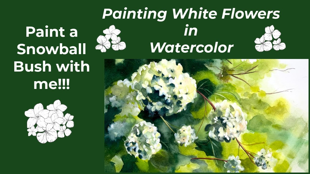 Painting White Flowers in Watercolor/Snowball Bush Viburnum