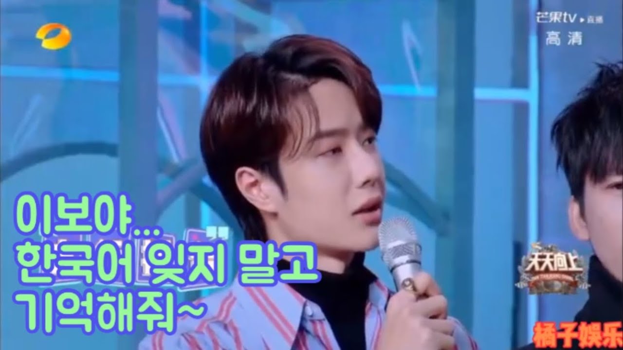 한국어 하는 왕이보 모음