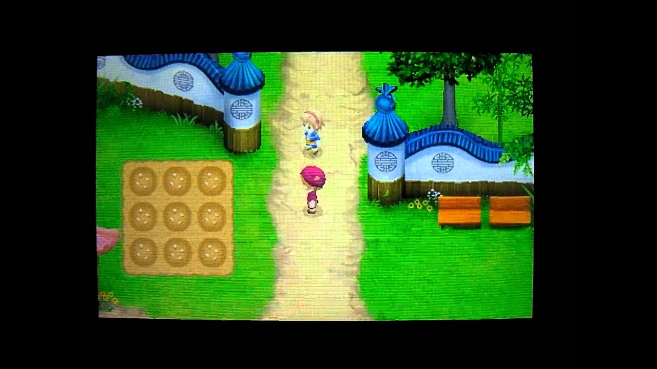 Dirk's First Appearance -- Harvest Moon: The Tale of Two Towns 3D