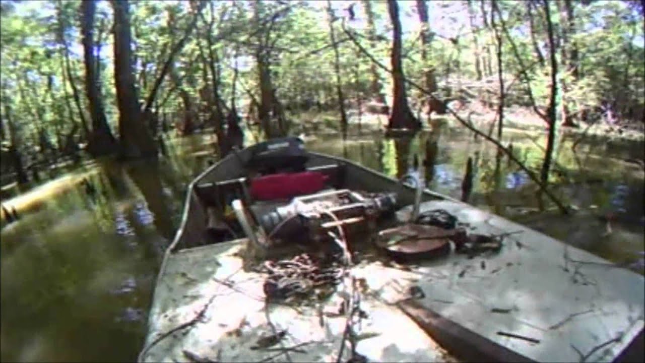 Deadhead Cypress Walk Mark Recover Saw.mp4