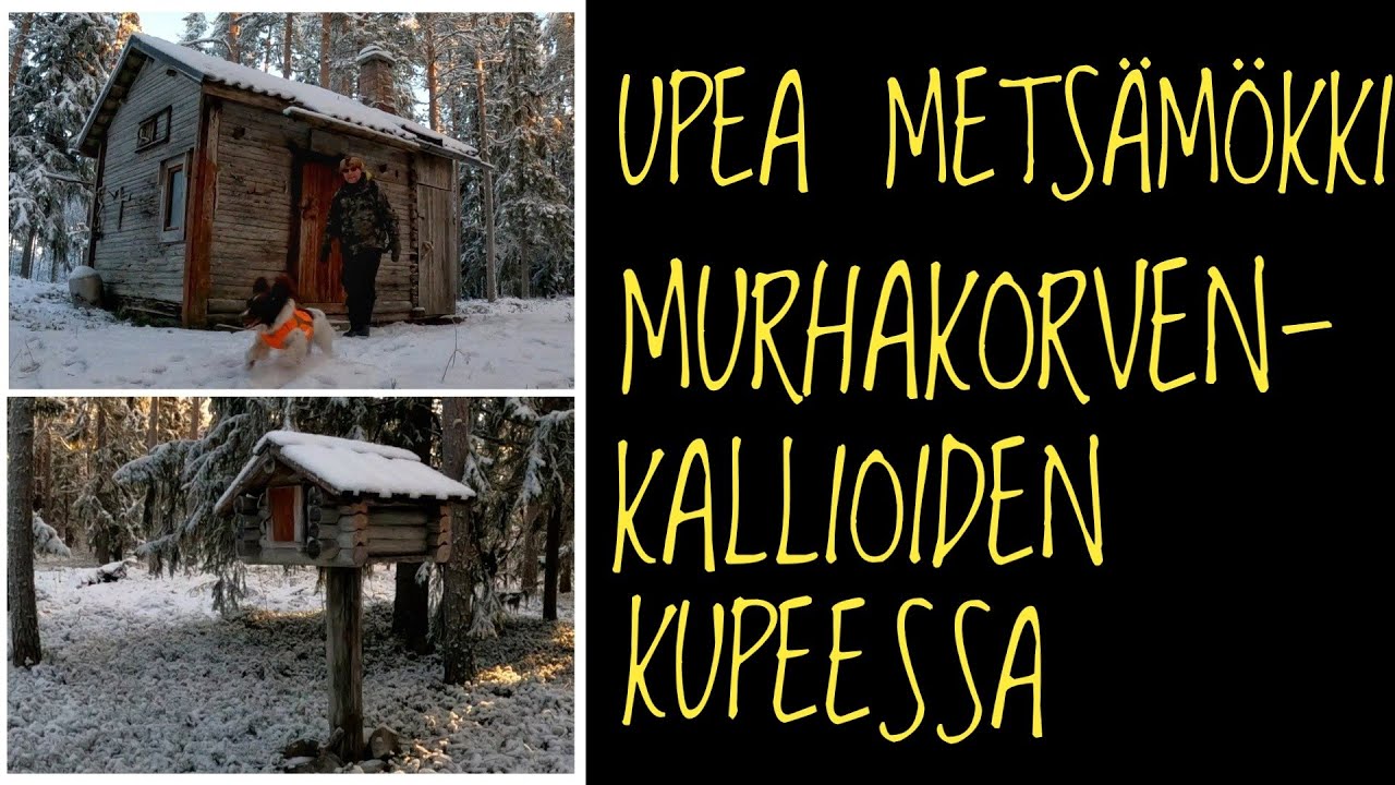 JÄNNÄ SININEN RETKI METSÄMÖKILLE MURHAKORVENKALLIOIDEN KUPEESEEN.