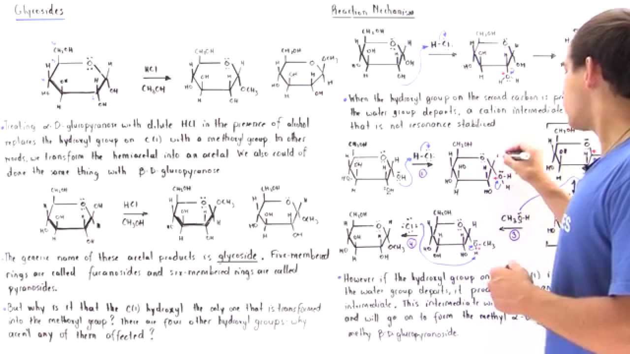 Formation of Glycoside