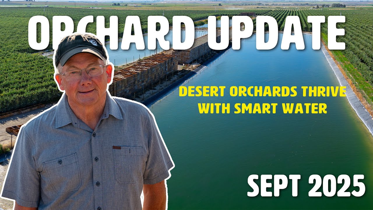 Water Management Techniques - Orchard Update Sep 2025