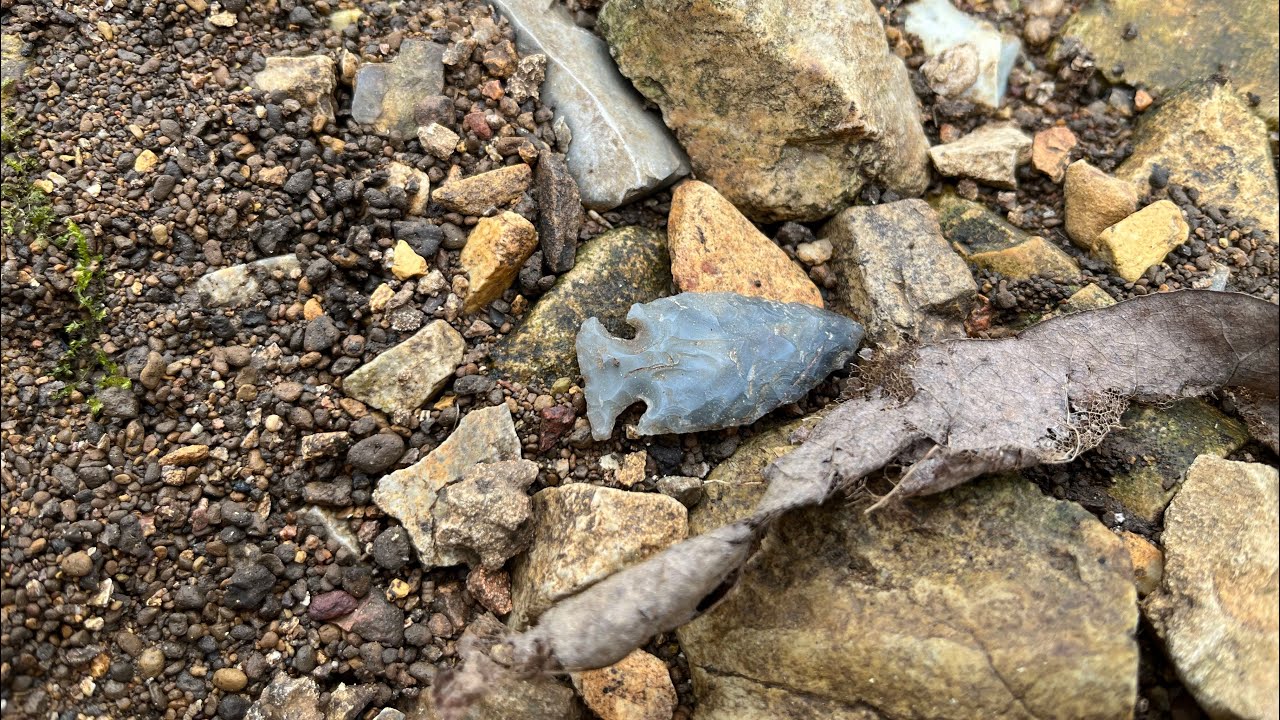 MUST WATCH!!! 3 KILLERS in one day!!! Alabama Arrowhead hunting