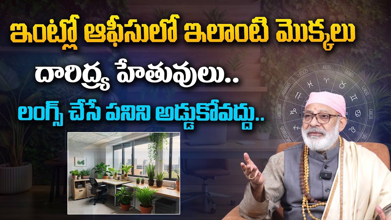 Such Plants in Homes and Offices Are the Cause of Poverty... Don't Stop the Work of Doing Lunges