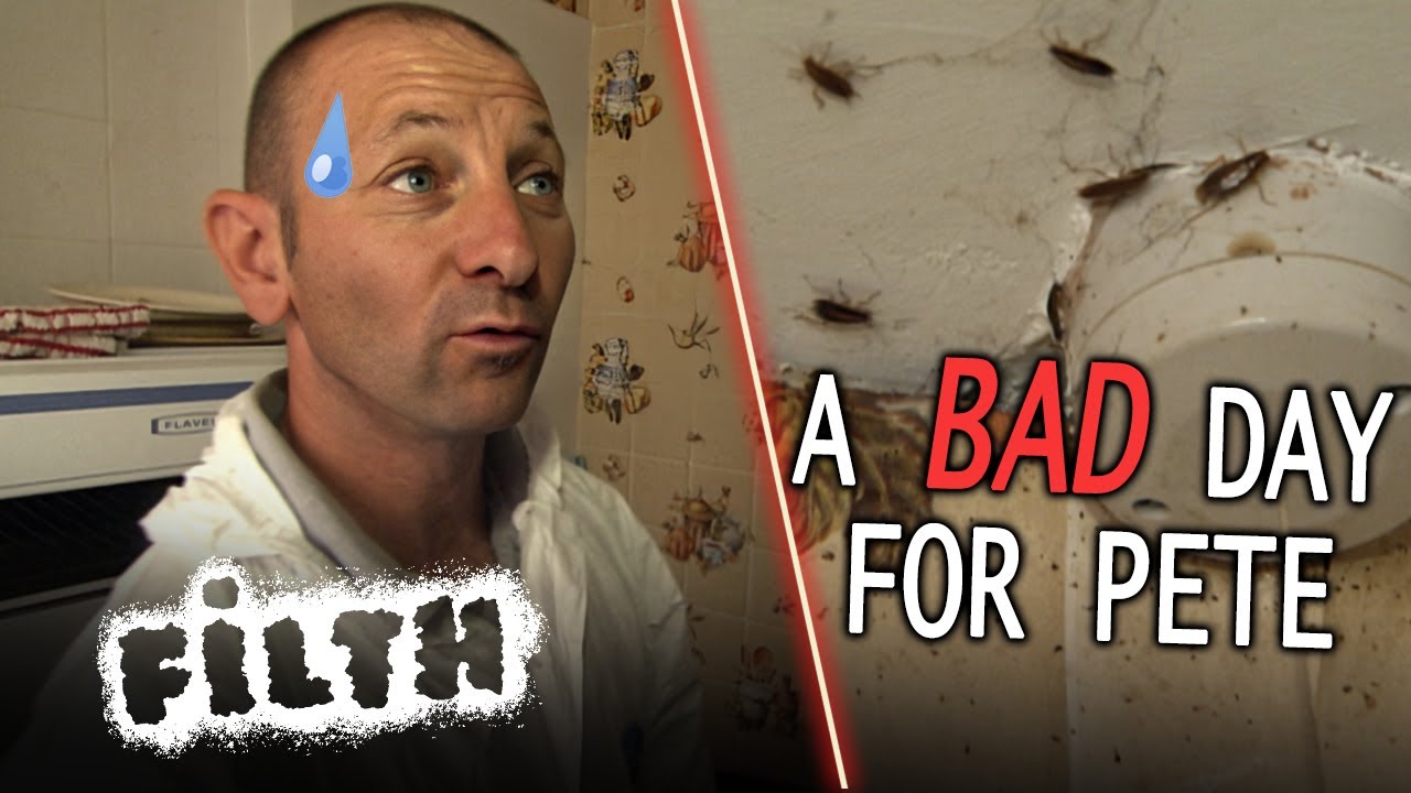 EMERGENCY! COCKROACHES HAVE TAKEN OVER! &hellip;In Dagenham