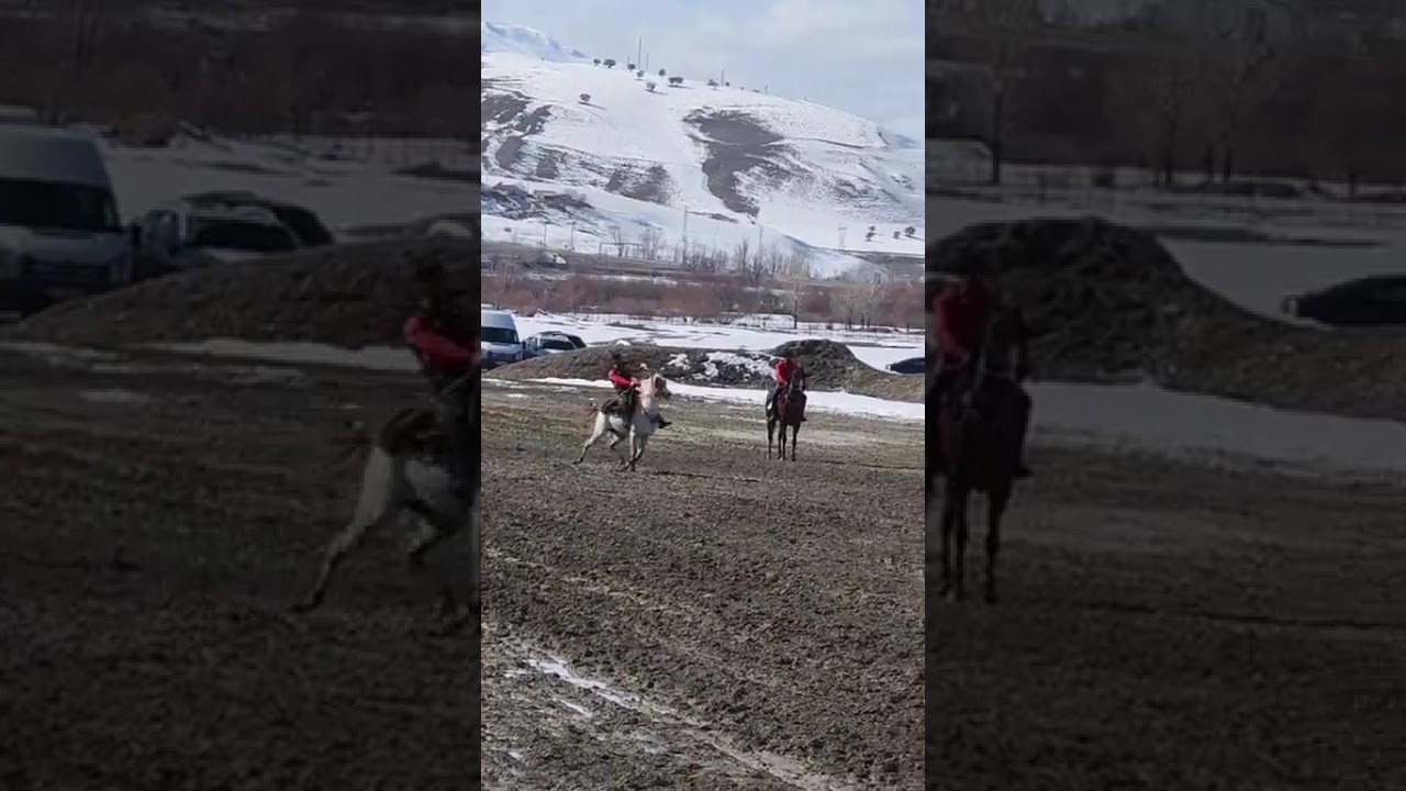 Aşkale'de Cirit heyecanı 