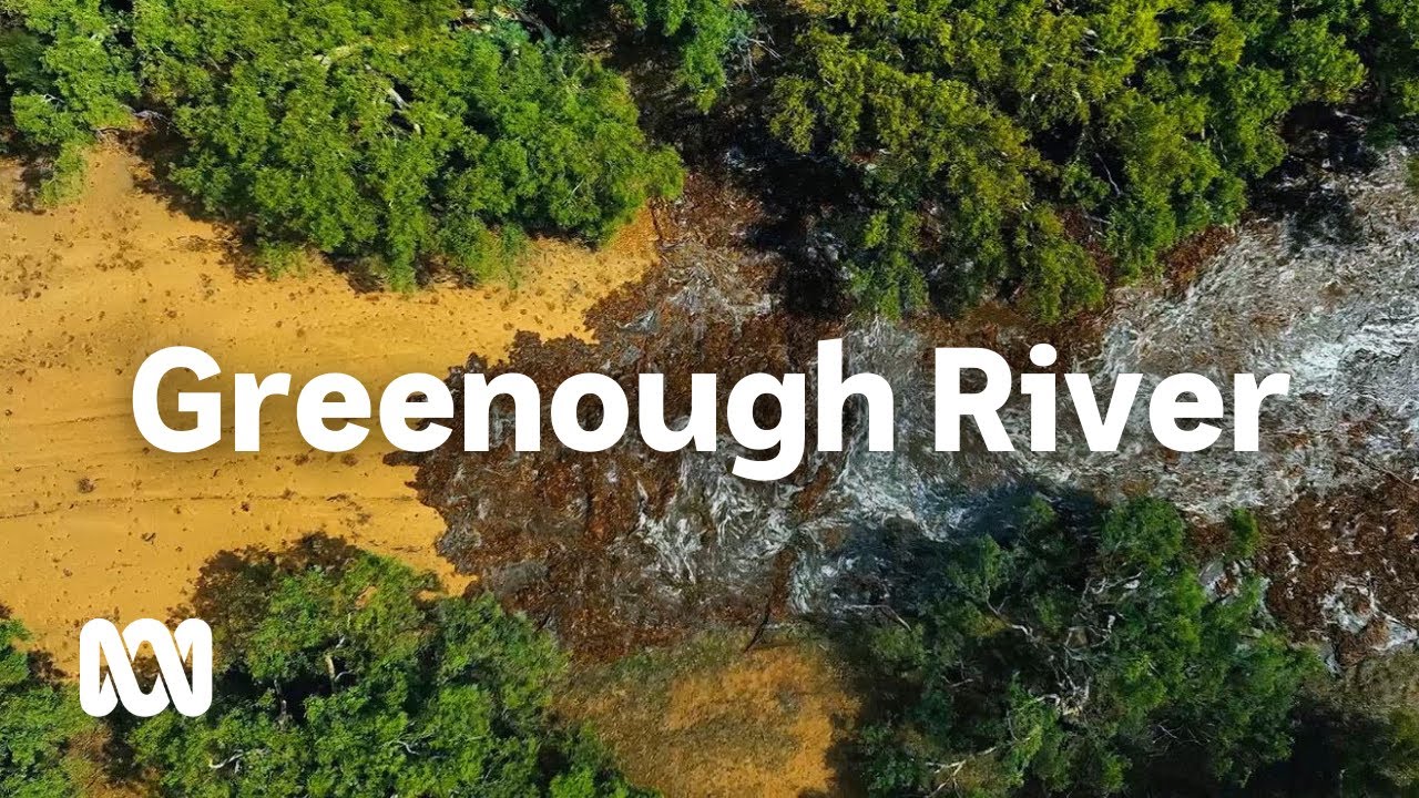 Greenough River: a dry river awakens 🌊 | ABC Australia