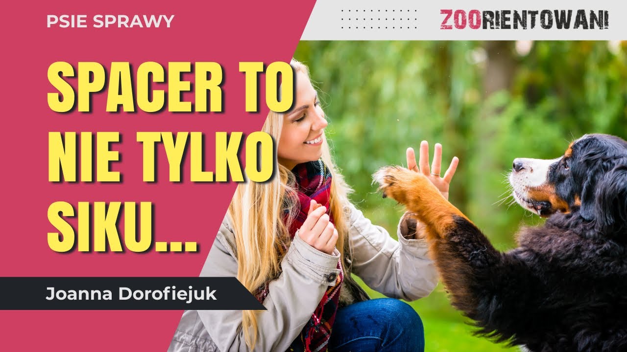 Mądry spacer z psem &ndash; jak zaspokoić potrzeby psa?