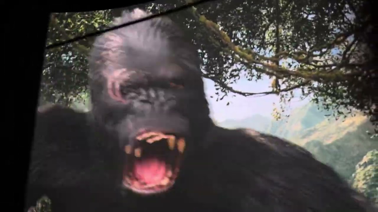 KONG. Skull Island(Ride)