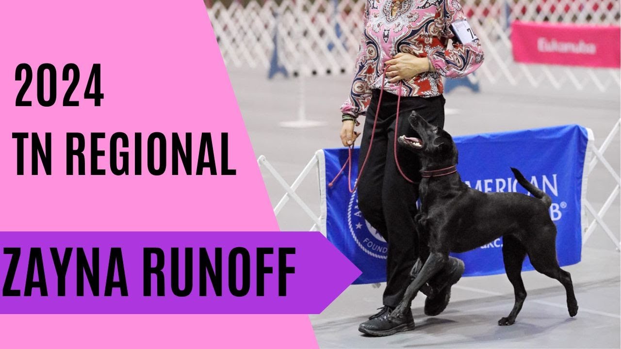 competition obedience heeling