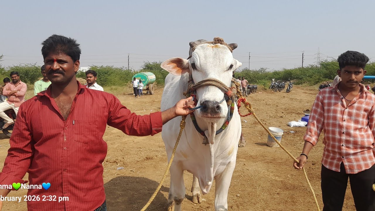 💥🌾చెంచుకాలనీ న్యూ కేటగిరి విభాగానికి 4వజత గారు💥28-02-2026💥