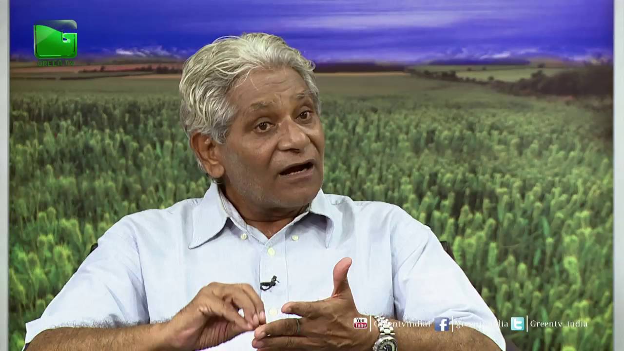 Castor(अरण्डी) Ki Kheti In Baatein Kheti Ki On Green TV