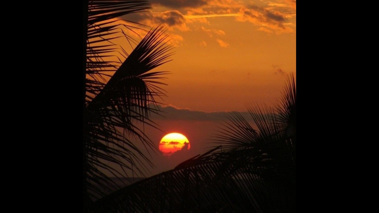 (FREE) WIZ KHALIFA X SLEDGREN X CARDO TYPE BEAT - 