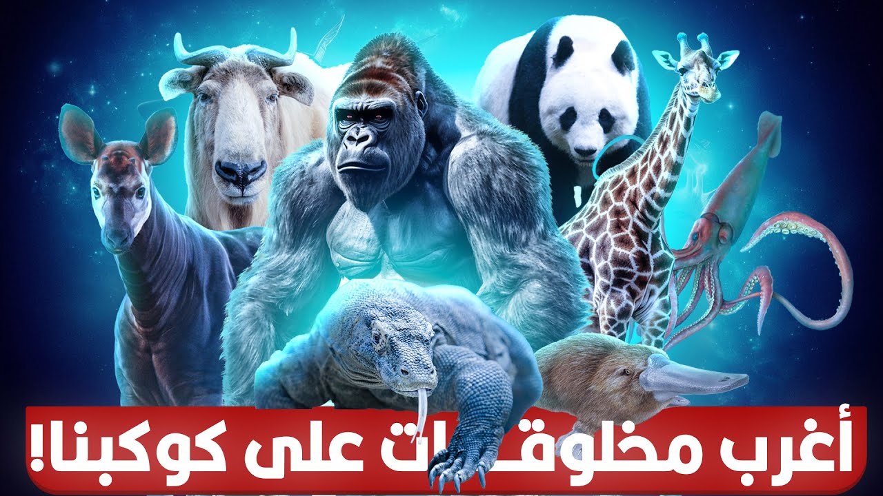 حيوانات أسطورية تم اكتشافها بالفعل