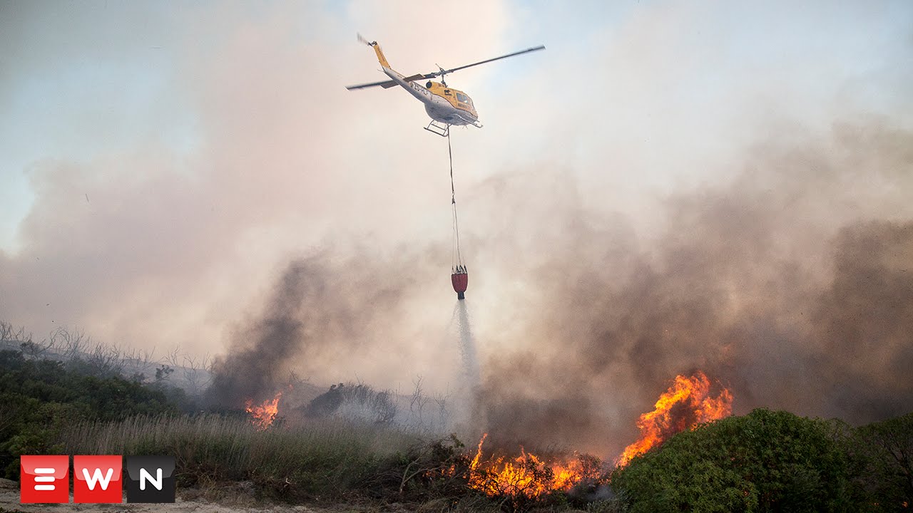 Runaway fires devastate the Cape's Elgin Valley