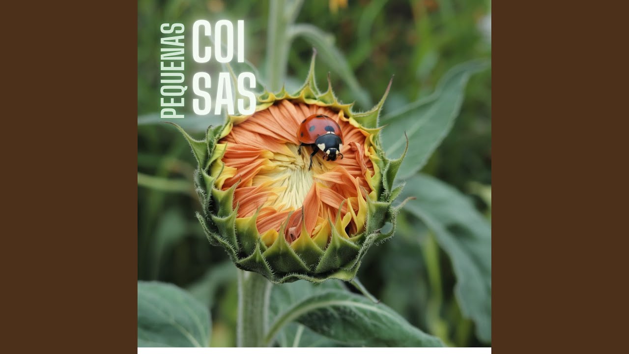Pequenas Coisas