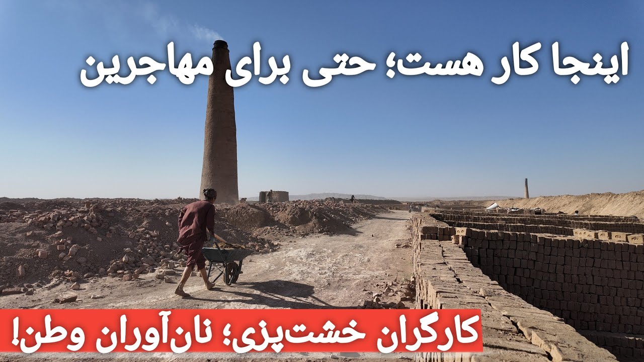 هر مهاجری که بیکار است، اینجا کار دارد! | خشت‌پزی با ۶۰هزار تولید روزانه در هرات