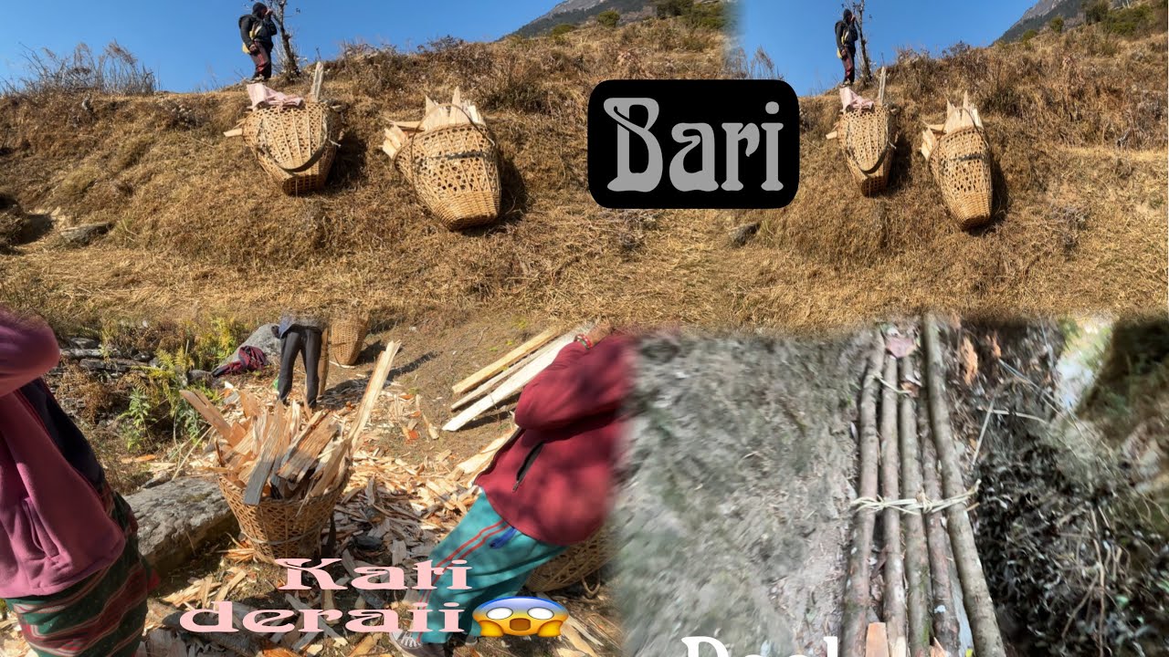 Kam ta khataraii gariyo gau aayra ||😱jangal||🥶🥶jado #highlights #photography #subscribe #nature 