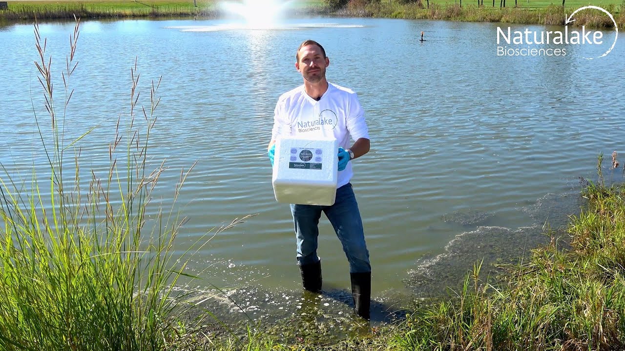 Collecting Algae Samples