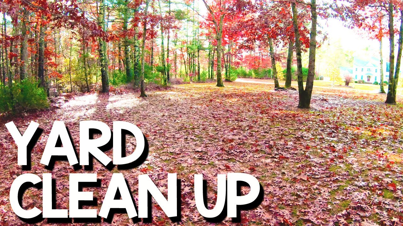 Faster Way to Clean Up Leaves In My Yard