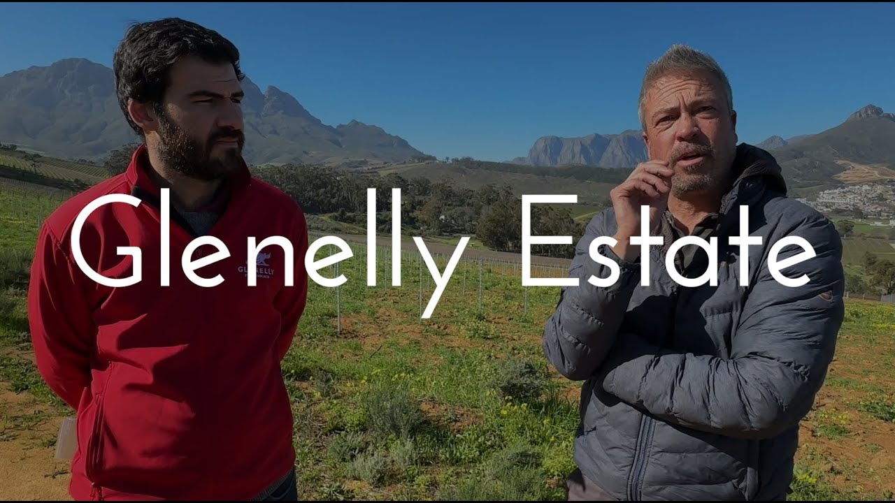 The Stellenbosch Landscape With Glenelly Estate