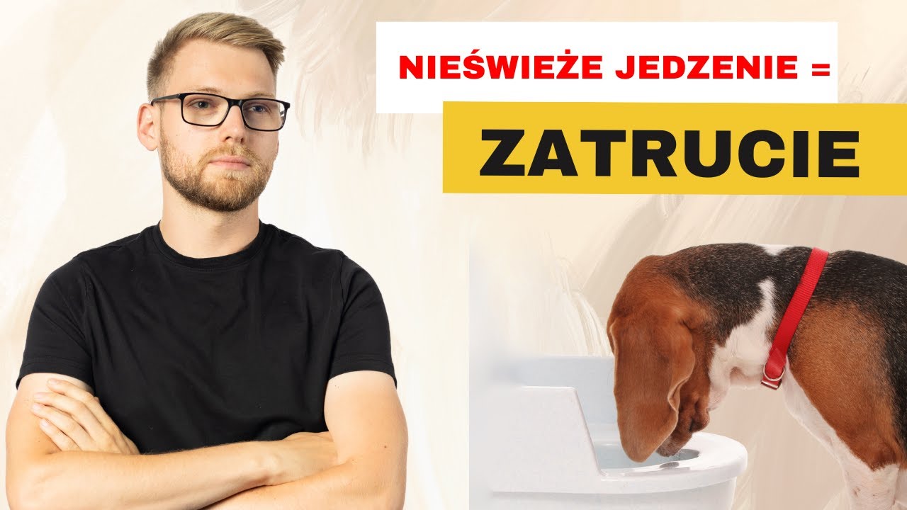 Zatrucie u psa - Jak postępować w jego przypadku ?