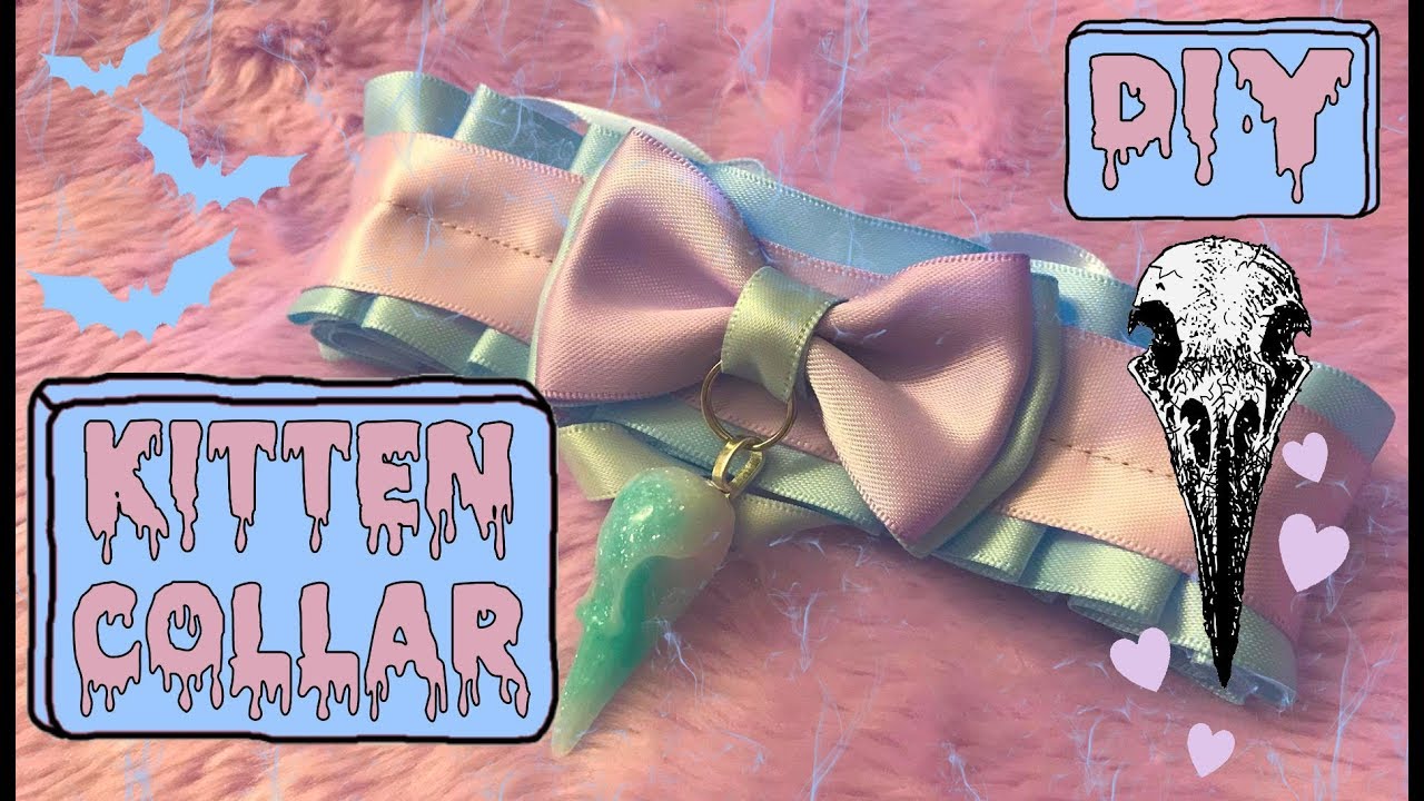Kitten Collar | DIY