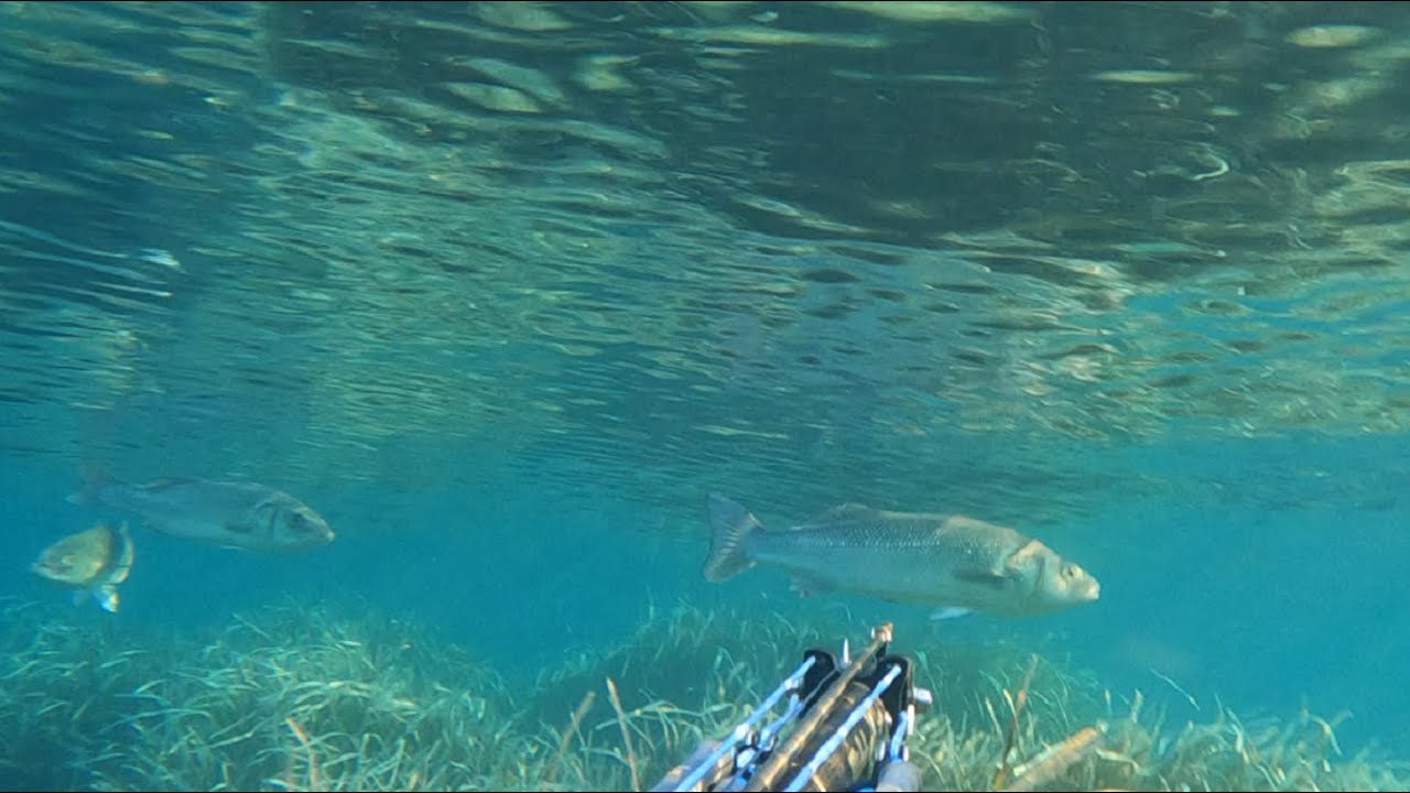 Pescasub 