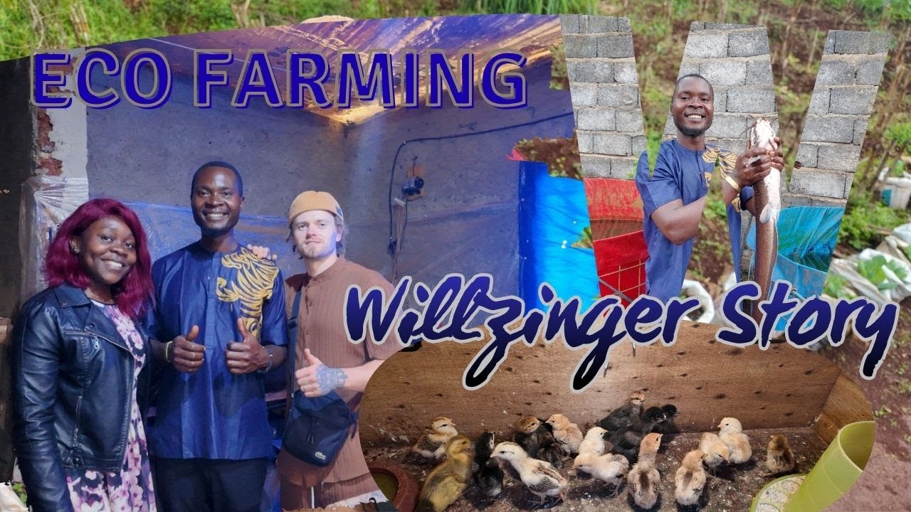 A New Vision for Agriculture in Cameroon | Willzinger Founder Interview