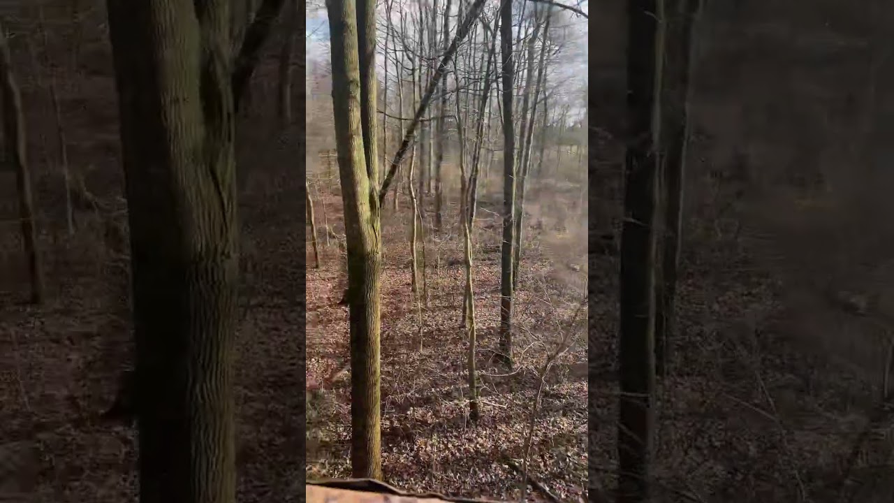 @Nordyoutdoors @TheRoosterxf