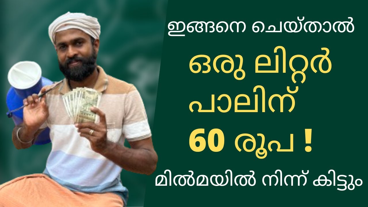 കർഷകന് ഒരു ലിറ്റർ പാലിന് 60 രൂപ | How to get maximum rate for milk from Milma | 2024