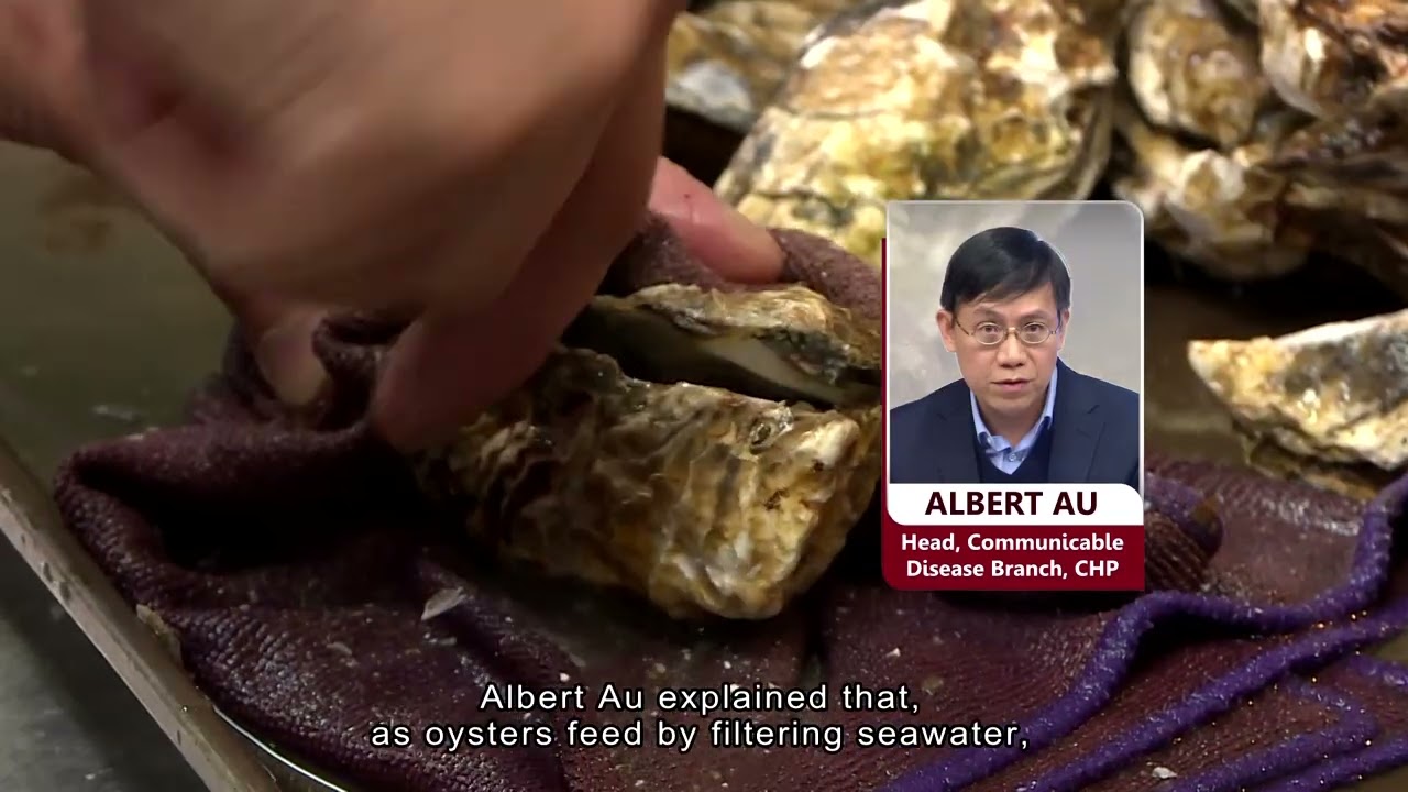 CHP: Avoid eating raw oysters for now, as food poisoning spikes| HOY International Business Channel