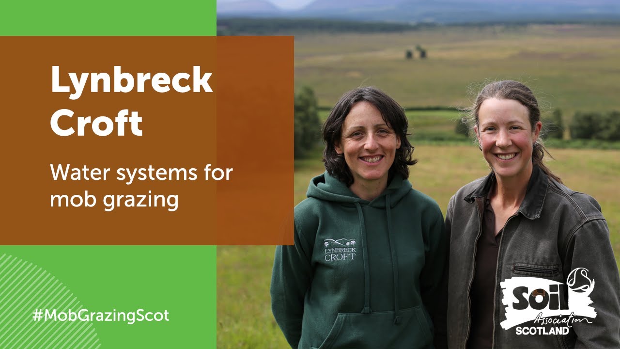 Mob Grazing: some tips for making your water system work