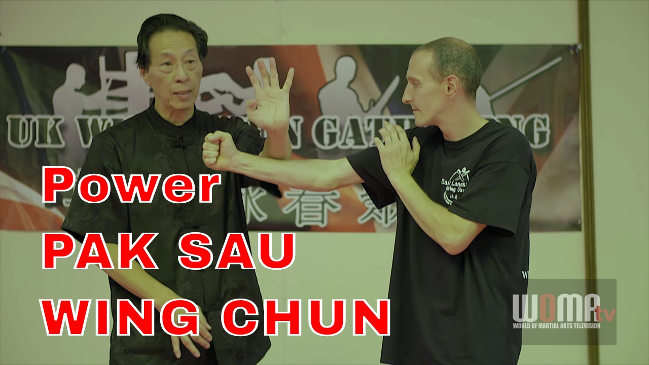 POWER PAK SAU WING CHUN