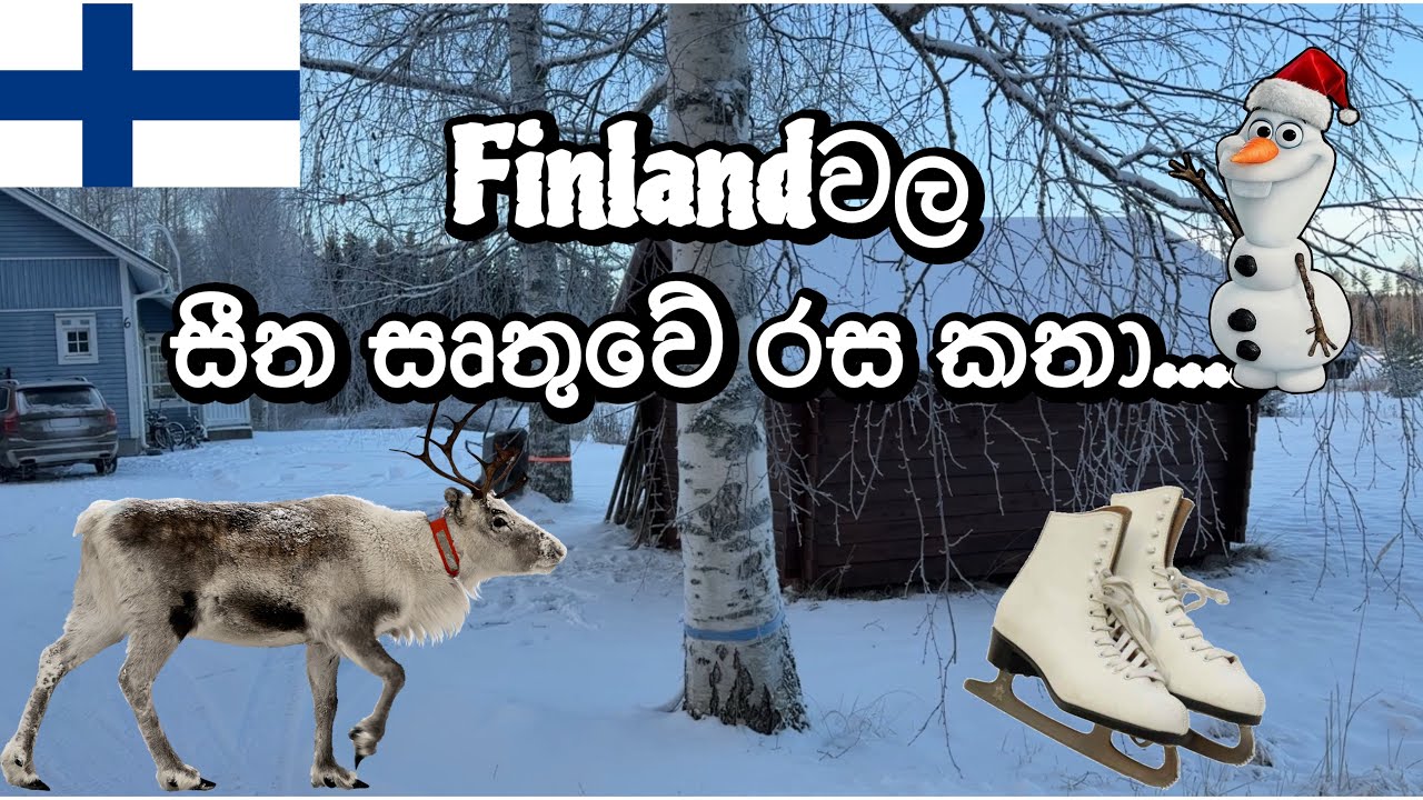 Finlandවල සීත සෘතුවේ රස කතා ☃️🇫🇮❄️ | Daily life in Finland | Finlandවල අපි 🇱🇰🇫🇮