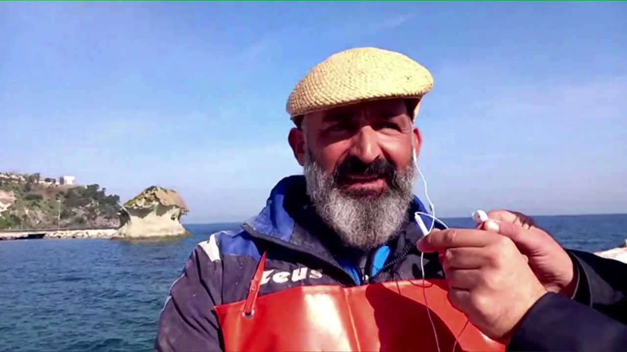 Lacco Ameno. Schiano: 