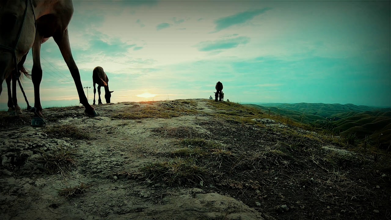 WAIRINDING HILLS (BUKIT WAIRINDING), SUMBA, INDONESIA
