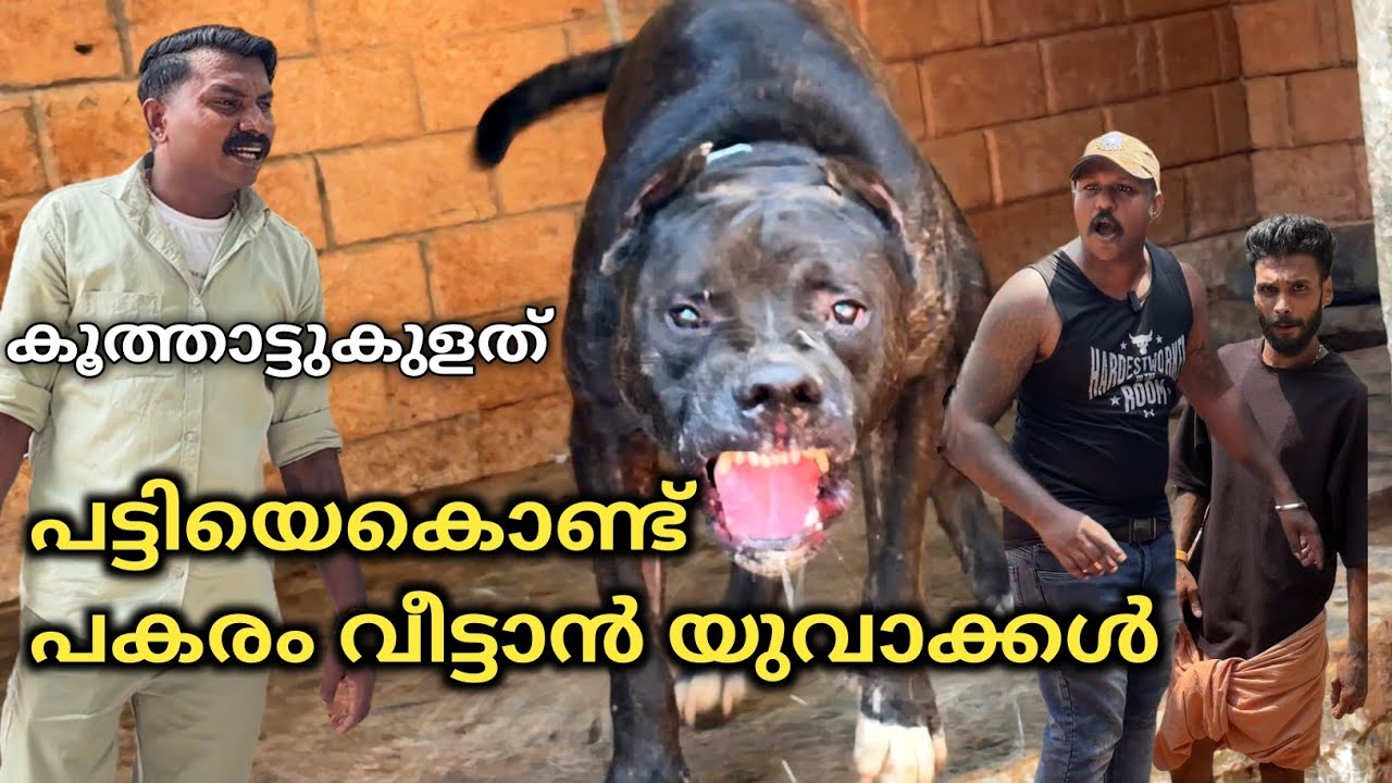 എല്ലാം കരുതിക്കൂട്ടി ആയിരുന്നു .. Dog challenge.. leash talks