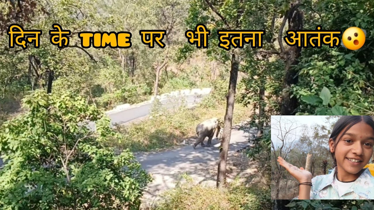 आज  क्या  देख  लिया  ये 